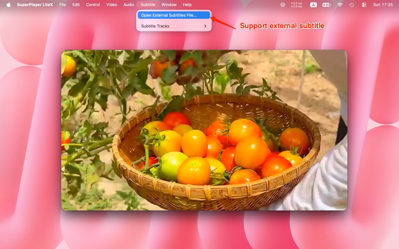 Screenshot #2 pour SuperPlayer LiteX
