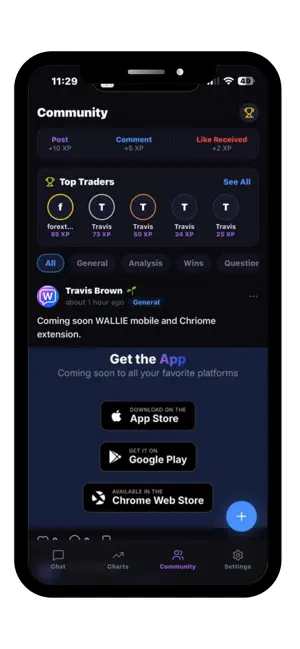 Wallie AI screenshot 2