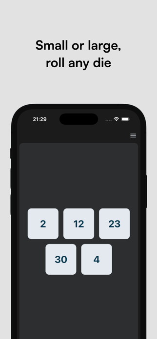 Lil Dice Roller Screenshot 3 of 3