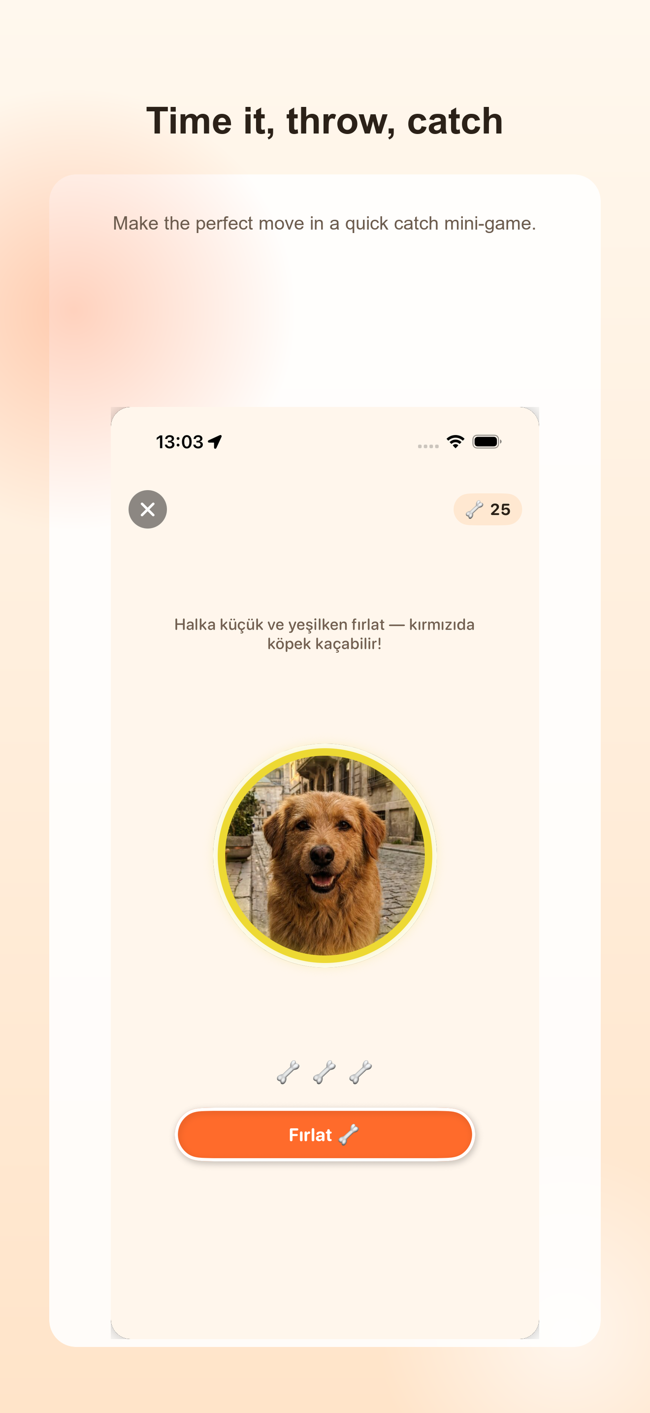DogCatch screenshot 3