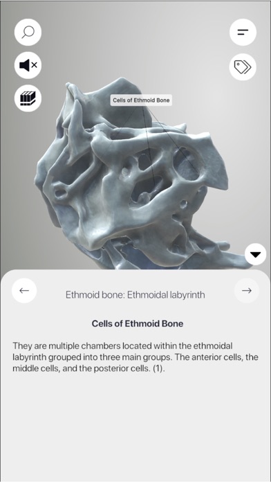 3D Osteology Screenshot