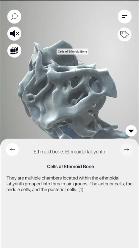 3D Osteology screenshot 8 of 10