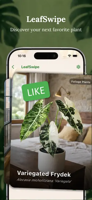 Plantology: Plant Care & ID screenshot 4