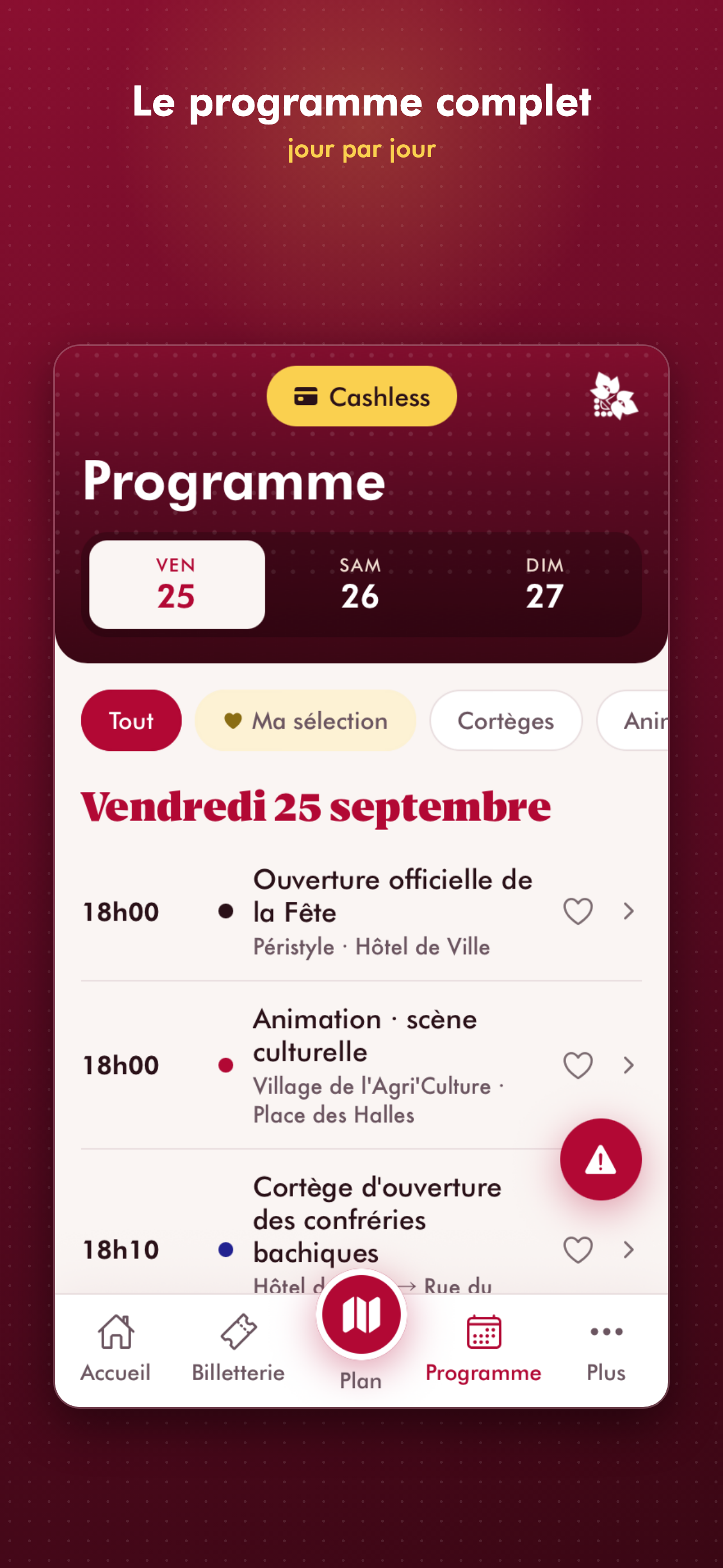 Fête des Vendanges Neuchatel screenshot 2