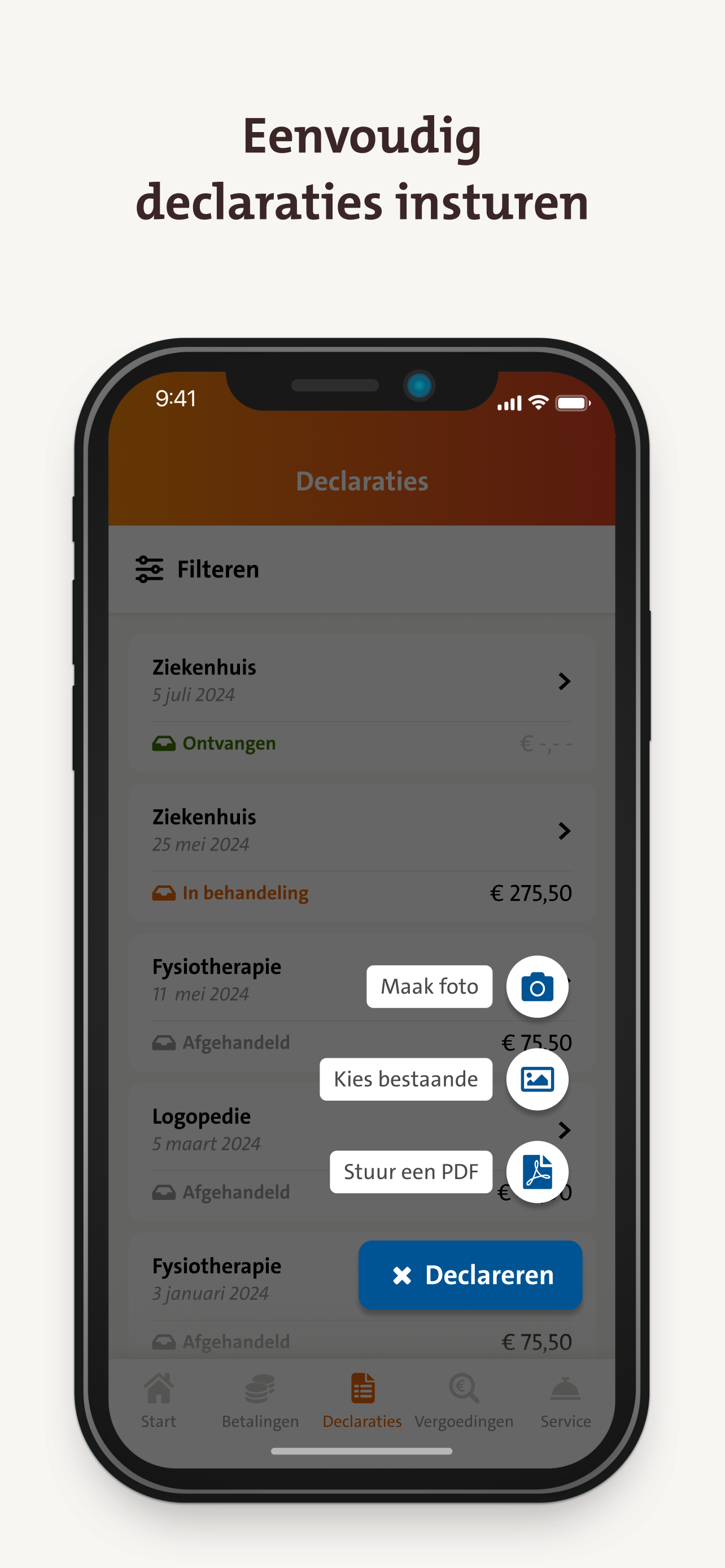 CZ declareren