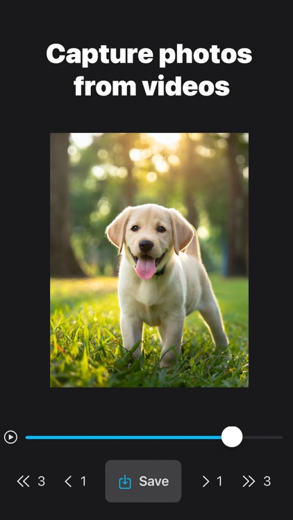 AI Frame Grabber: Video to Pic