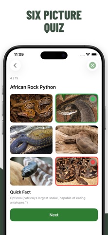 Snakes Quiz Guess Snake iPhone screenshot