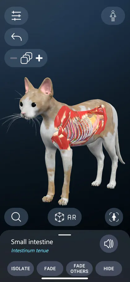 Screenshot 4 di 5 di Animal Anatomy AR