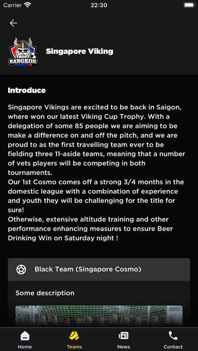 Viking Cup Screenshot