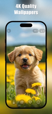 Puppy Aesthetic Wallpapers 4K screenshot