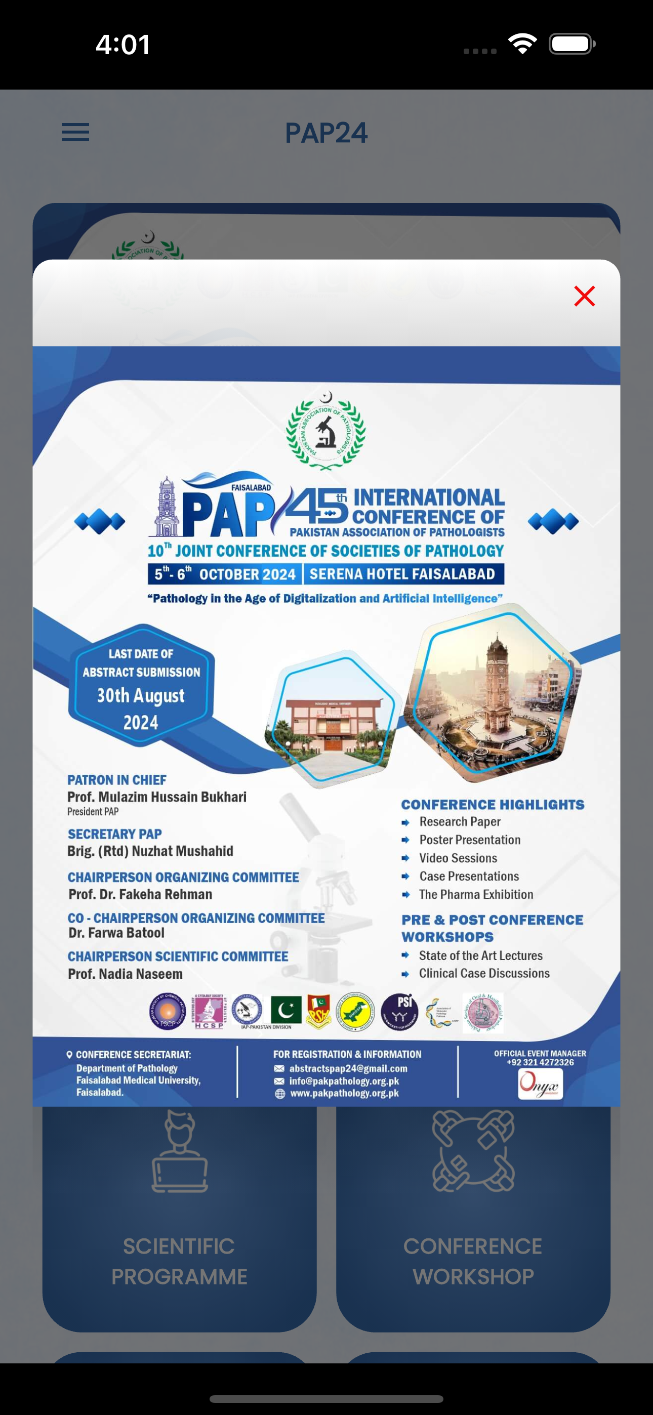 PAP24