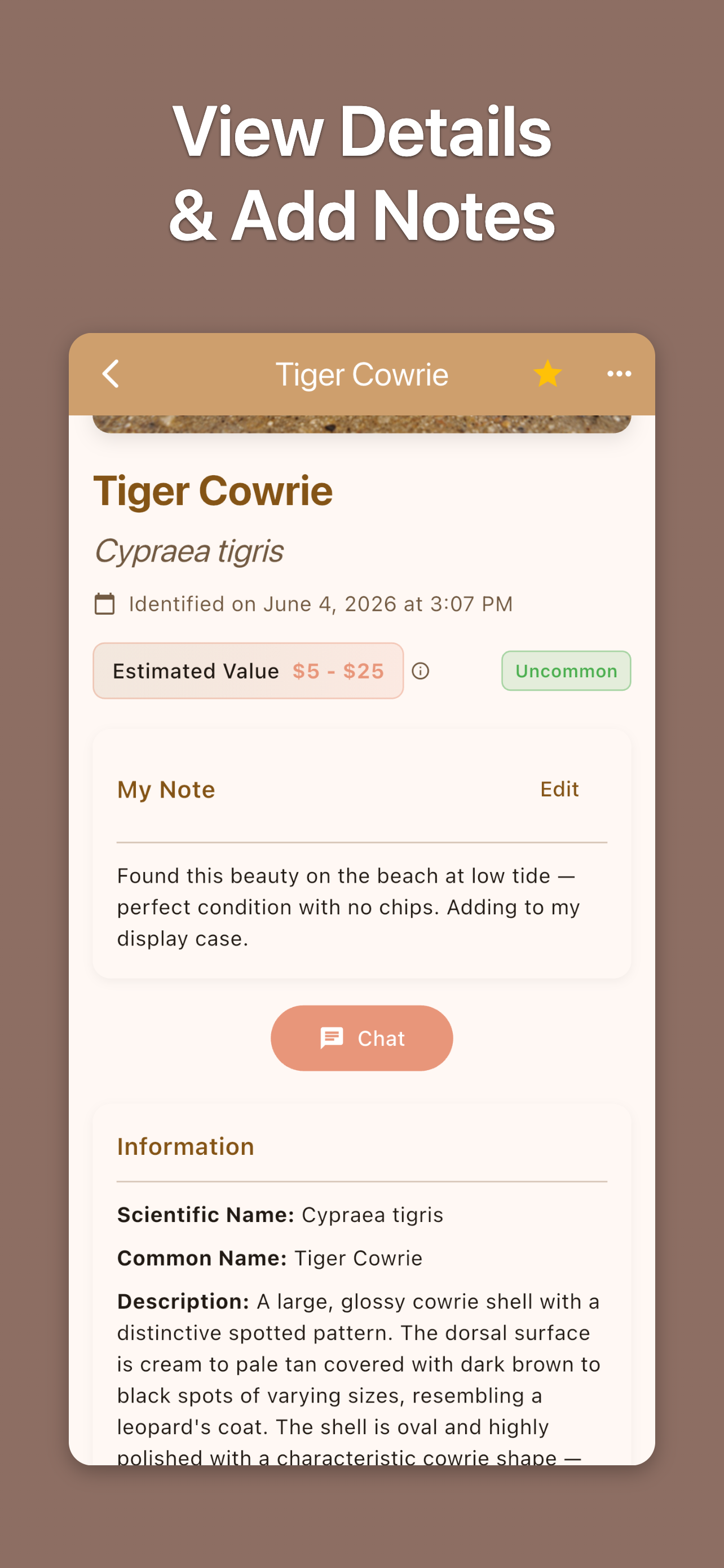 Shell ID: Sea Shell Identifier screenshot 4