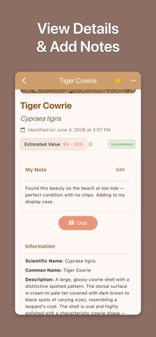 Shell ID: Sea Shell Identifier iPhone screenshot
