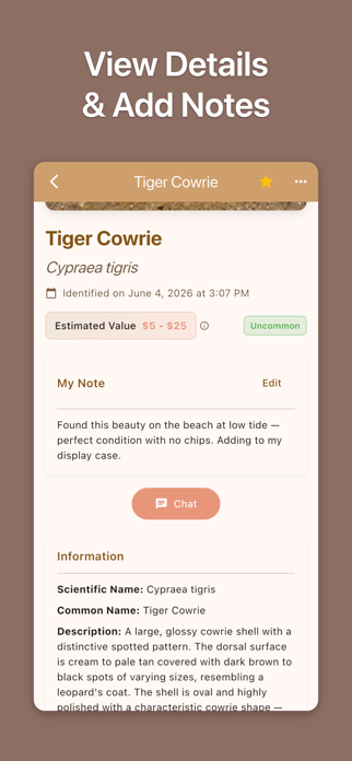 Shell ID: Sea Shell Identifier Screenshot 4 of 5