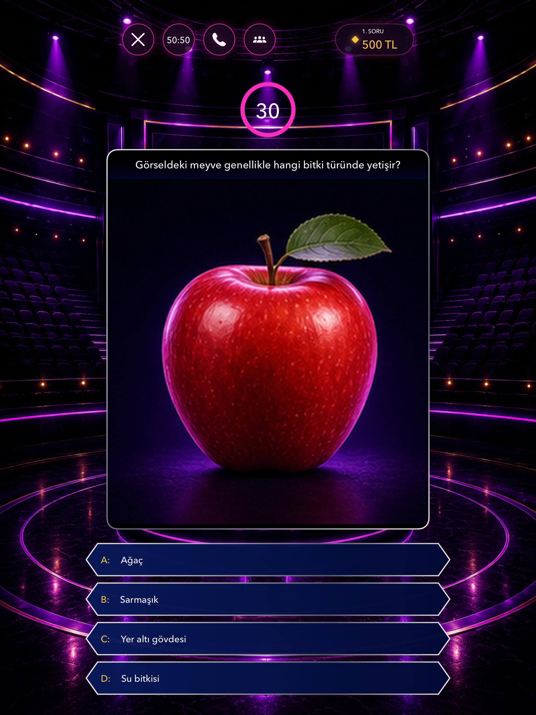 Bilgi Yarışması? screenshot 13