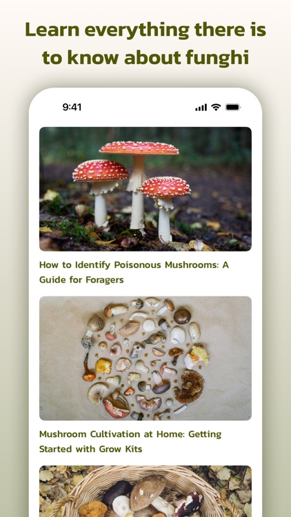 Mushroom Identifier - screenshot-3