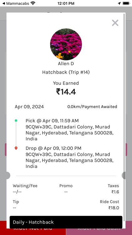 Mamma Driver screenshot-6
