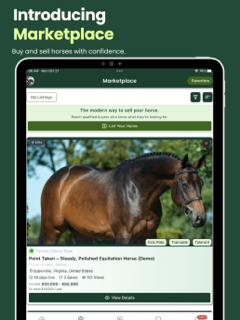 Femme Cheval screenshot 13