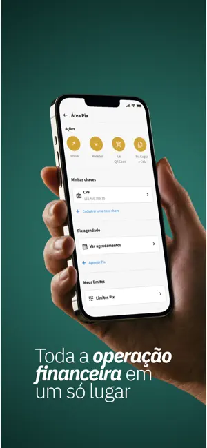 Plena Pay screenshot 4