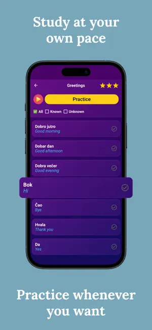 Learn Croatian (Beginners) screenshot 3