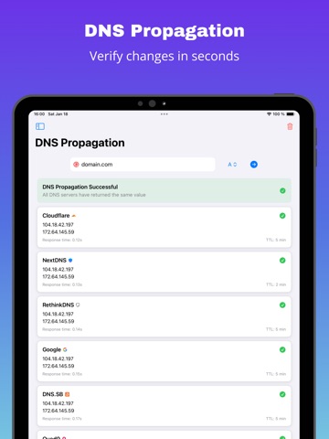 DNS Propagation ipad screenshot 2