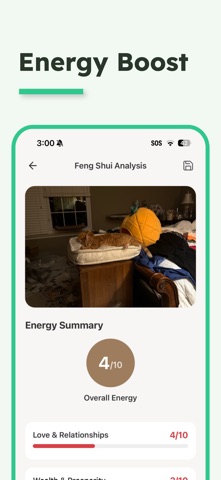 Feng Shui Expert screenshot