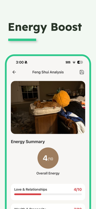 Feng Shui Expert Screenshot 3 of 6
