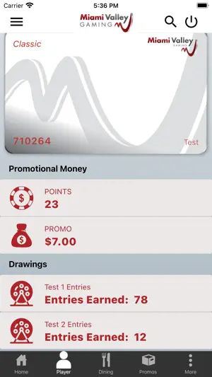 MV Gaming screenshot 3