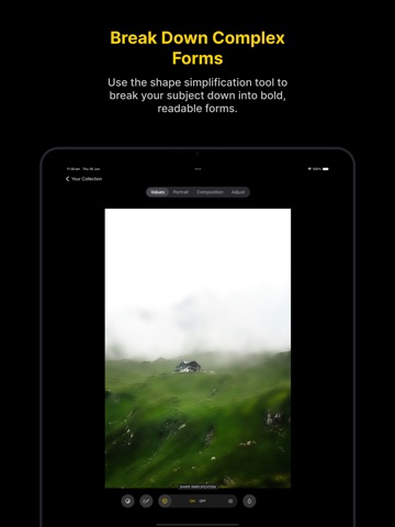 Art Toolbox: Values & Guides iPad screenshot