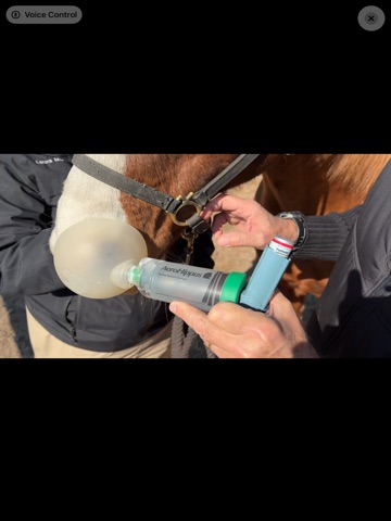 Purdue Vet Med Equine Pro Tips iPad screenshot