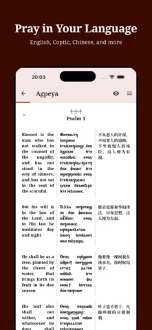 One Coptic Library Screenshot 3 of 10
