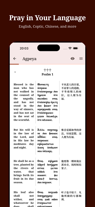 One Coptic Library Screenshot 3 of 10