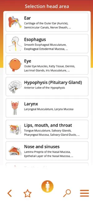 5BN app screenshot 2