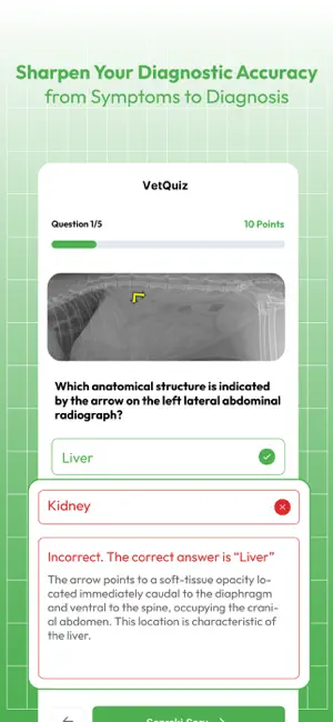 Veterinary Cases: VTNE Exam screenshot 4