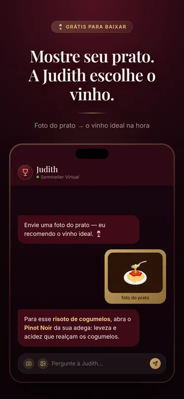 Judith: Assistente de Vinhos screenshot 2 of 4