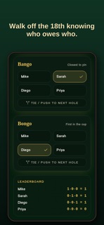 Bingo Bango Bongo Bonus screenshot 4