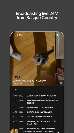 DIA! Radio screenshot 1