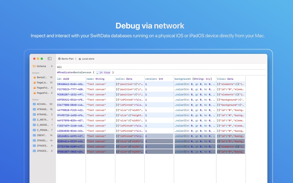 #1. DataScout for SwiftData (macOS) Podle: Oleksii Oliinyk