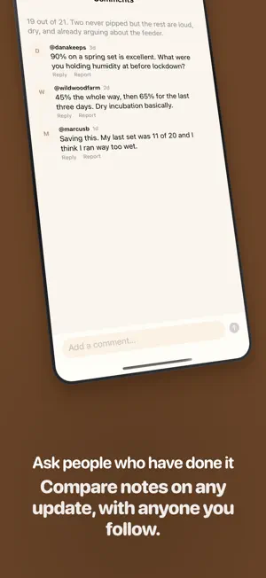 Hatch With Me: Incubation screenshot 4