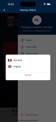 Parking Vaslui screenshot