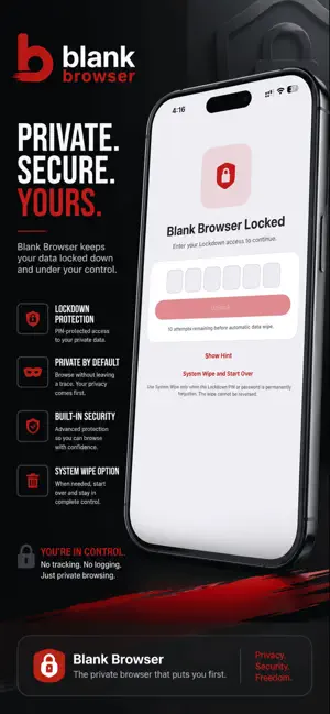 Blank Browser screenshot 4