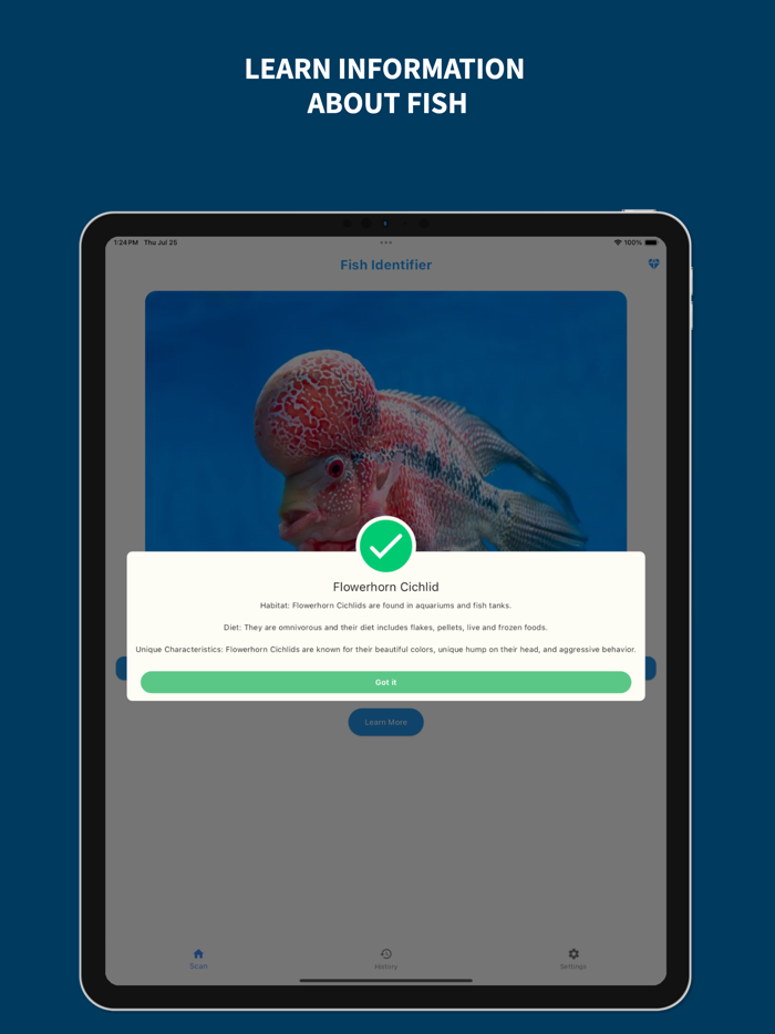 Fish Identifier - Scan With AI