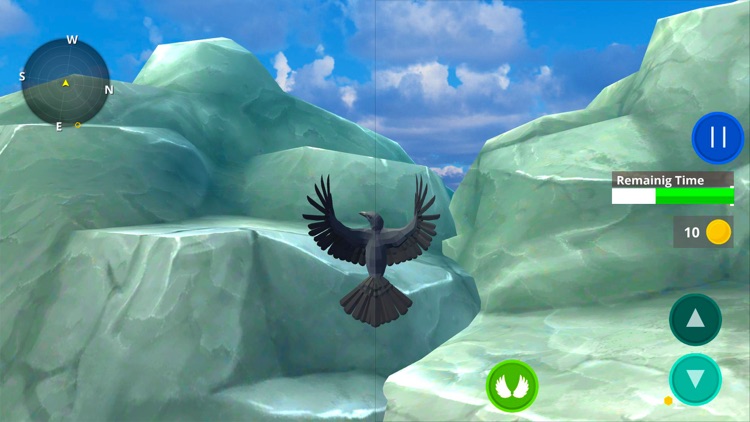 Raven Crow Bird Simulator 3D