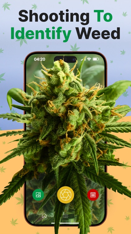 THC Weed Identifier: Kush Scan screenshot-3