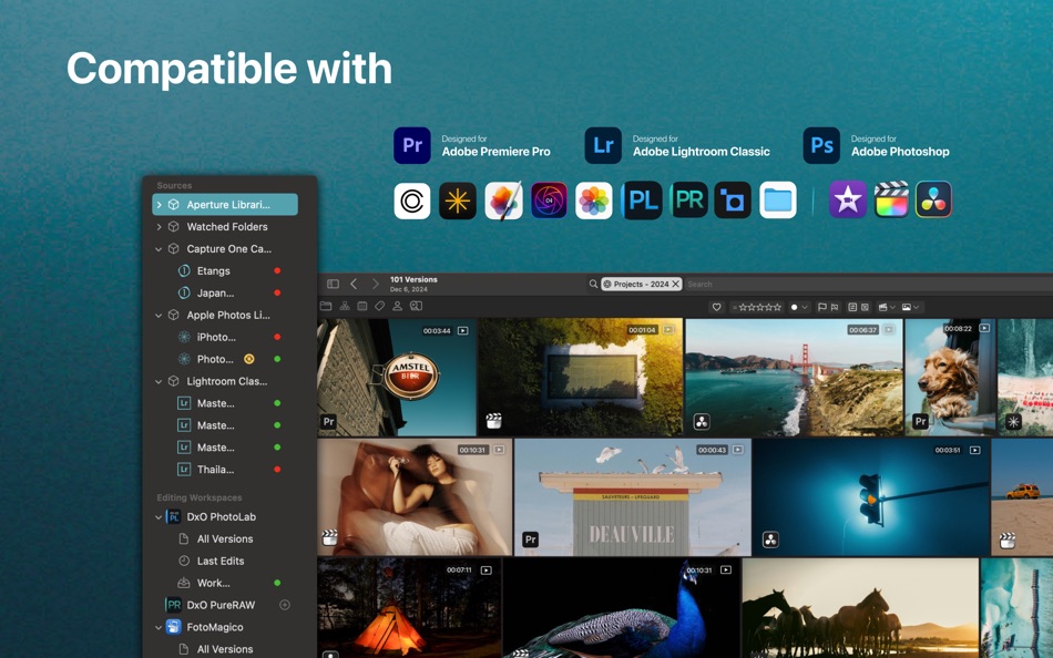#2. AI Media Organizer - Peakto (macOS) Av: CYME