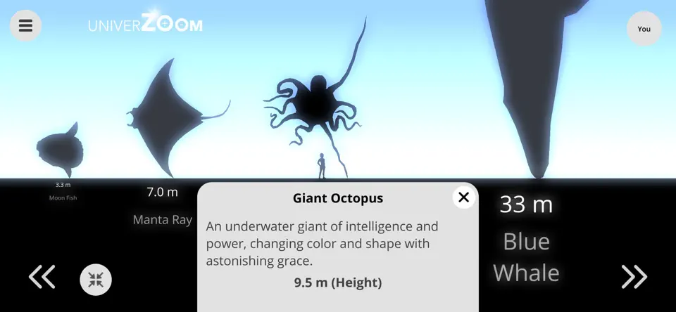 Capture d'écran de Univerzoom 2D Size Comparison sur iPhone 4
