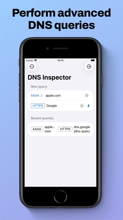 DNS Inspector