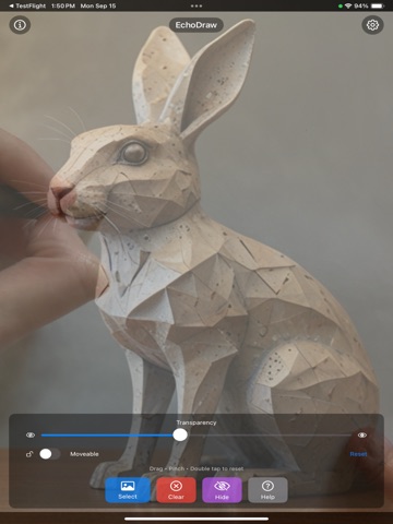 EchoDraw iPad screenshot