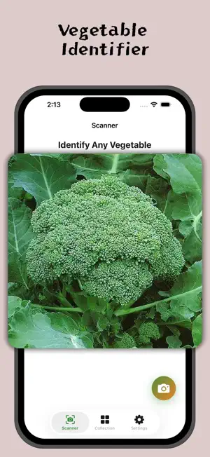 Vegetable Identifier: Veggie screenshot 2