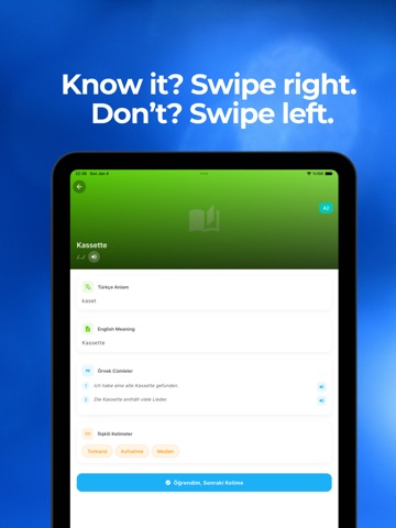 Swipey: Learn Vocabulary iPad screenshot